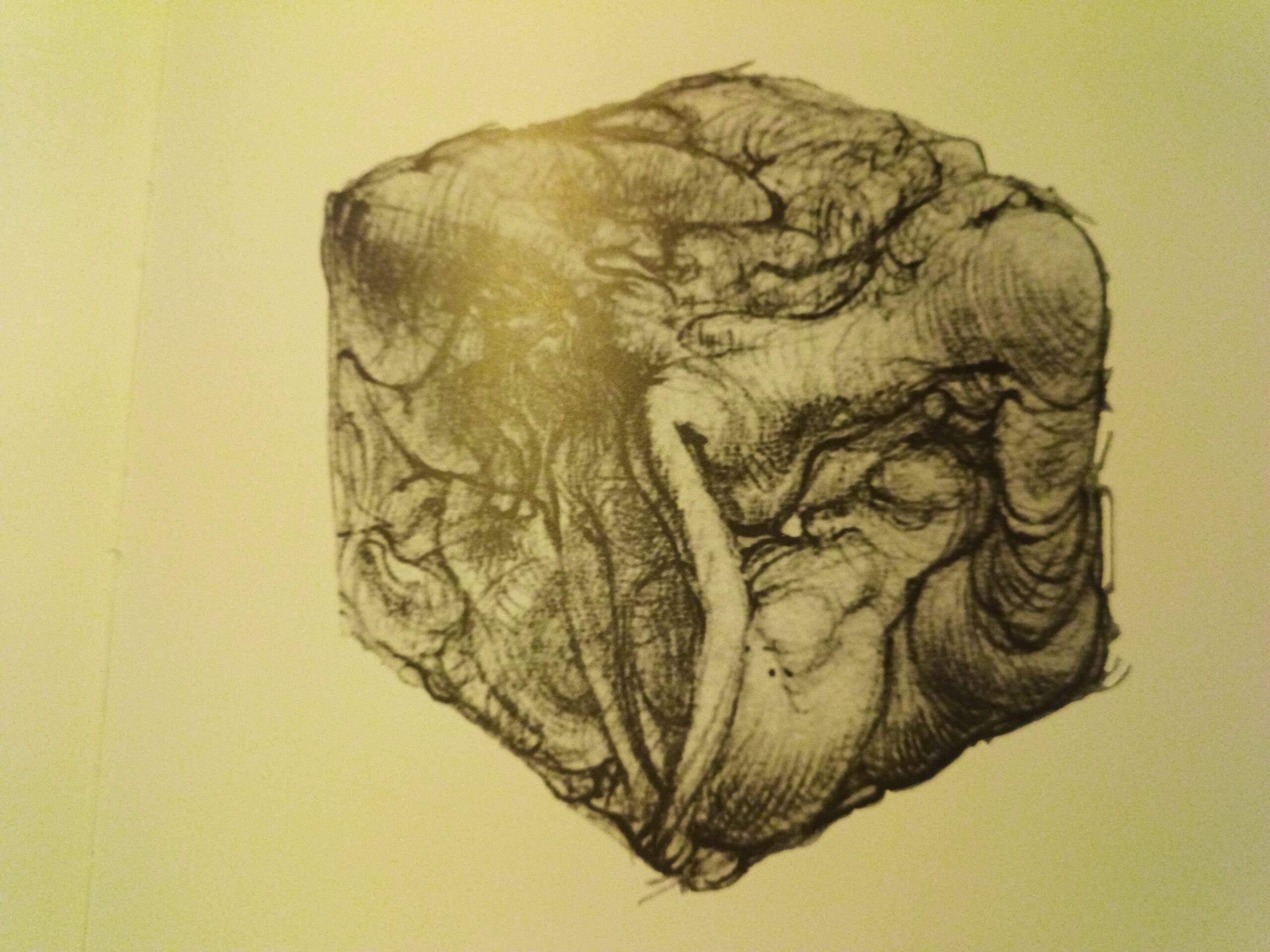 Hans Bellmer, Dessin au crayon, 1948